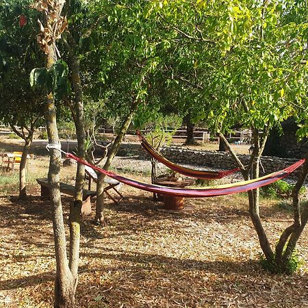 Azienda Agricola Affittacamere S'Ispinalba Di Laura Pitzolu Borore Eksteriør bilde